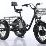 Read more about the article Electric Fat Trike: Ultimate Guide to Choosing the Best Model for You